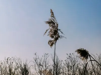 Bit4win Kaszinó Mobilalkalmazás